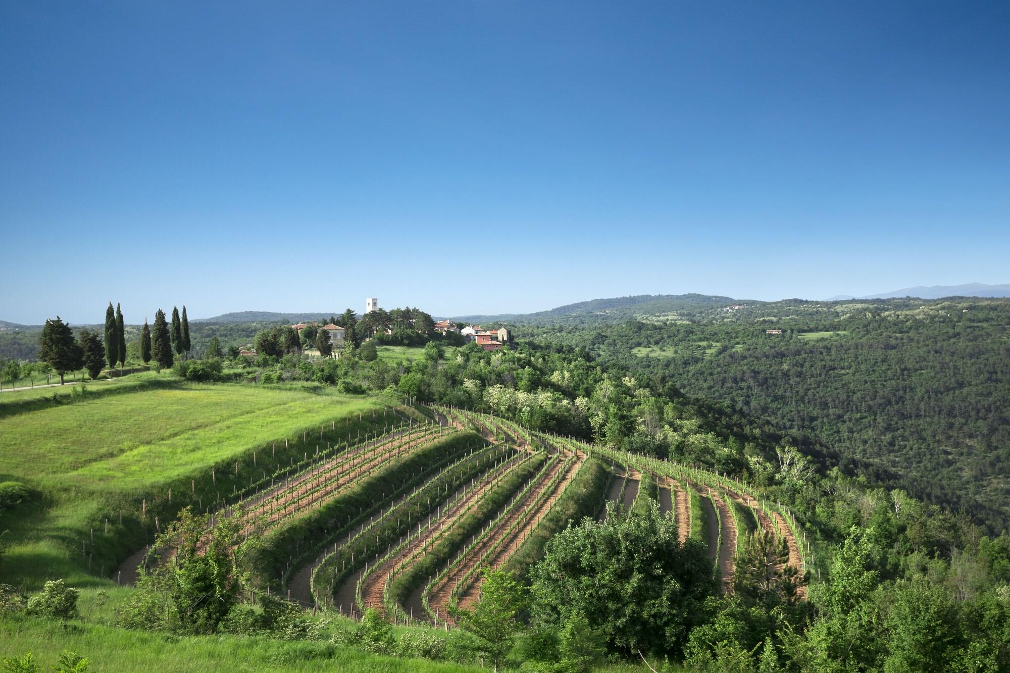 Palazzo Angelica B&B Adults Only Oprtalj Dış mekan fotoğraf