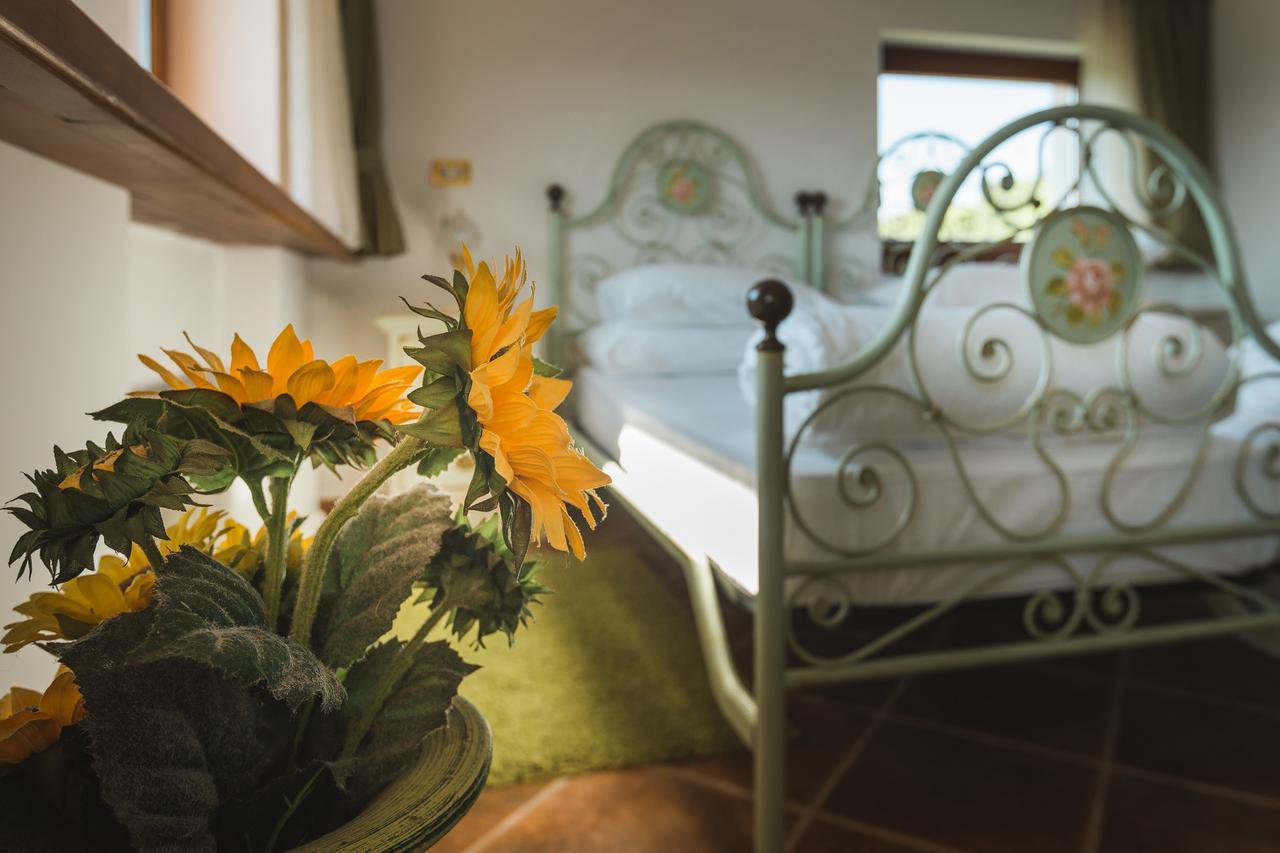 Palazzo Angelica B&B Adults Only Oprtalj Dış mekan fotoğraf